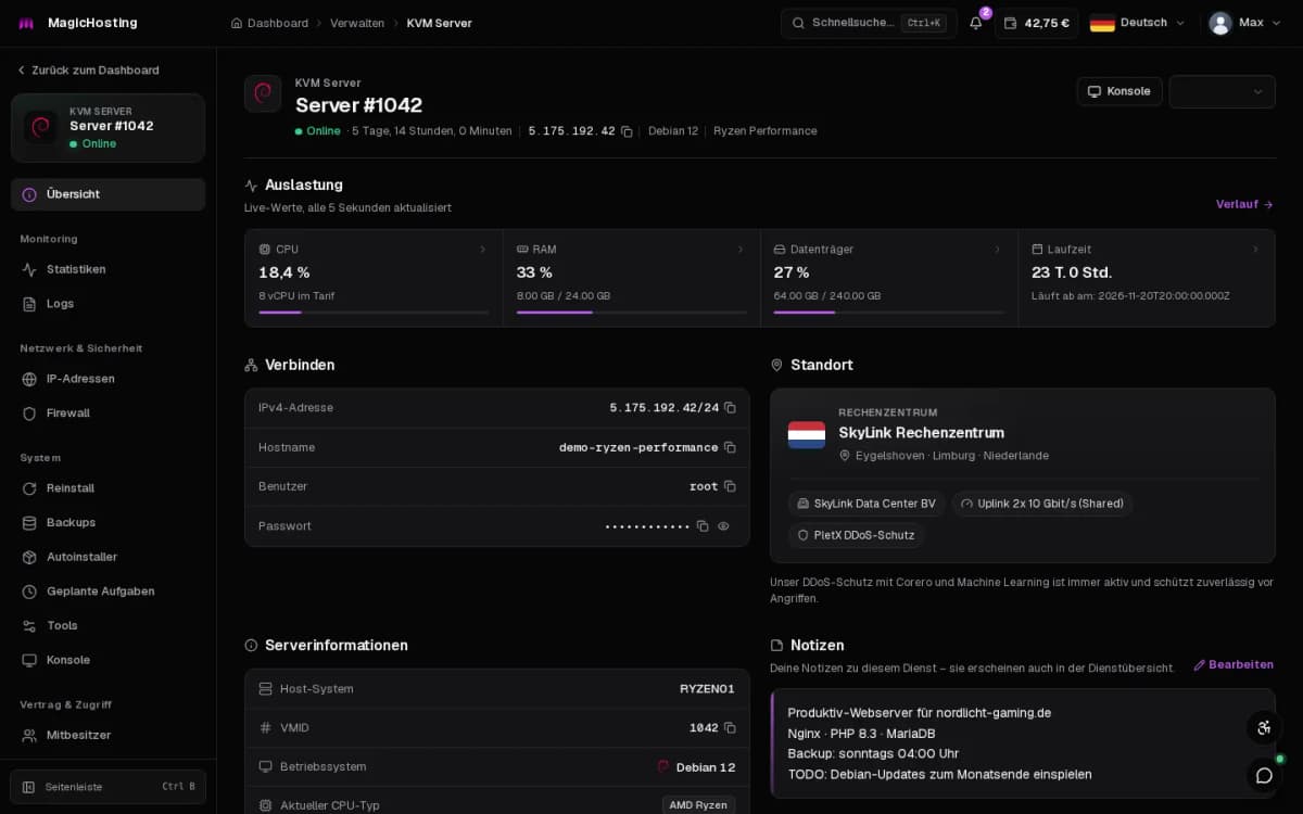 Server-Übersicht in der Demo mit Live-Auslastung, Zugangsdaten und Standort